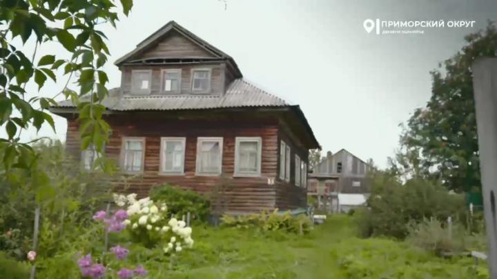 Архангелогородец вырастил виноградный сад в северной деревне