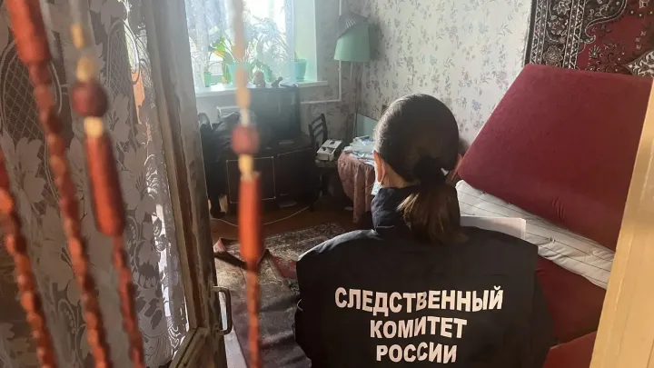 В Онеге задержали подозреваемого в убийстве